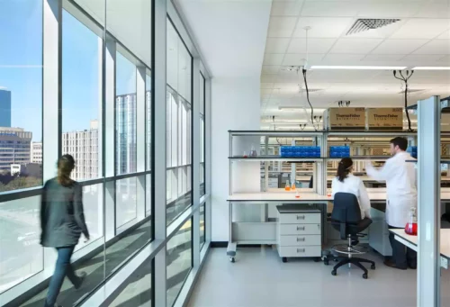 lab room with two drs working